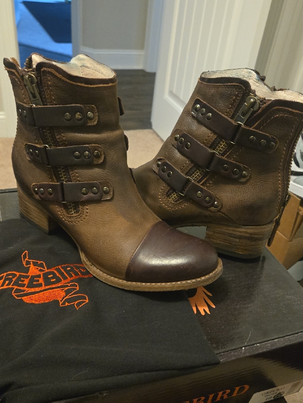 Freebird by Steven Two-Tone Brown Leather Ankle Booties